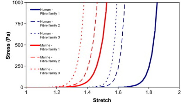 The Strange Mechanical Behaviour of Skin