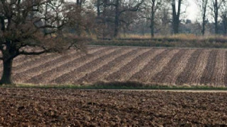 Sustainable food production:lessons from agroecology for a new generation of pest resistant crops by GM