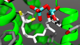 Chemistry in the 21<sup>st</sup> Century