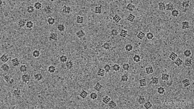 Structures of Biological Molecules: the Wonders of the Molecular World. Thanks to WikiMedia user Vossman for the image file under CC BY-SA 4.0